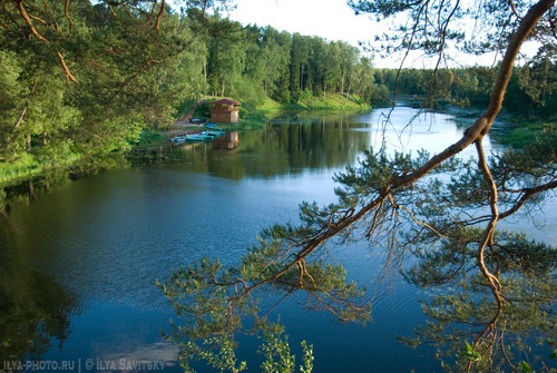 Сиверская лодочная станция на реке Оредеж (фотограф Илья Савицкий)